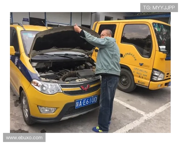 letou瑞丰线路检测确保网站安全稳定运行的全面解决方案